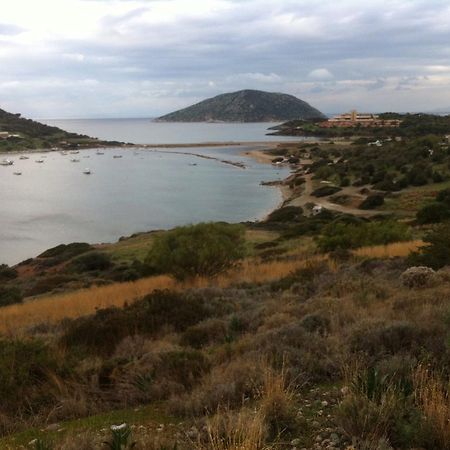 Villa Dendron Agia Marina  Bagian luar foto