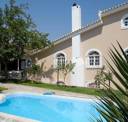 Villa Dendron Agia Marina  Bagian luar foto