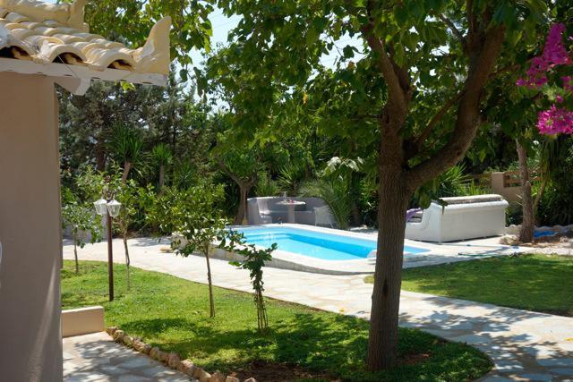 Villa Dendron Agia Marina  Bagian luar foto