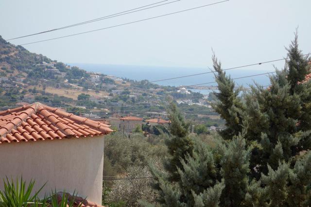 Villa Dendron Agia Marina  Bagian luar foto